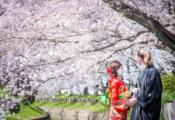 Serendipity Flower & Wedding