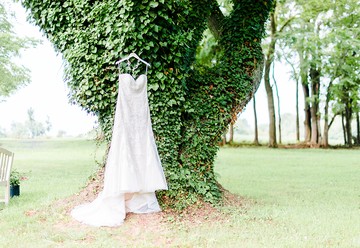 Entyse Lyfe Weddings