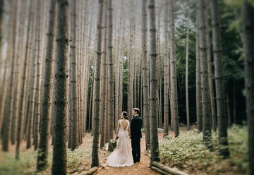 Roxbury Barn & Estate