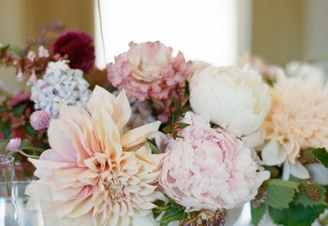 Amy Nichols Special Events