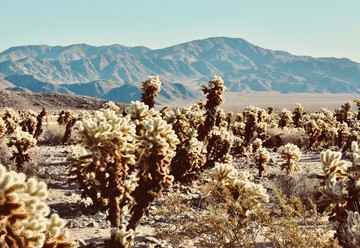 Bee Loved Weddings & Events