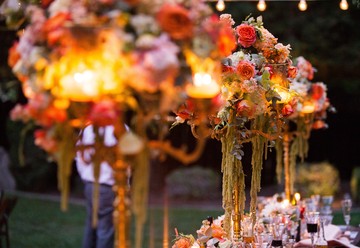 Shelli Armstrong Events