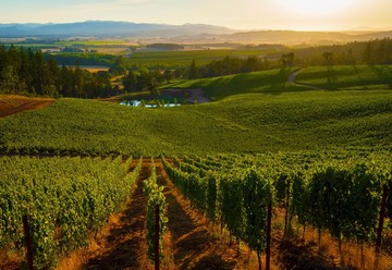 Eola Hills Wine Cellars