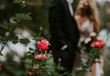 McGill Rose Garden Events