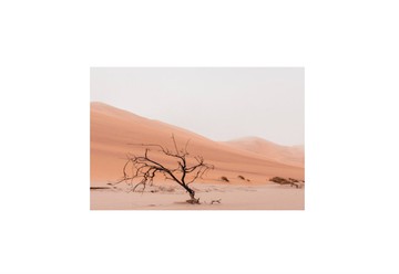 Intimate Moab Weddings