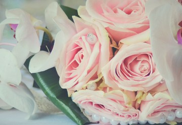 Perfectly Celebrated Ltd.