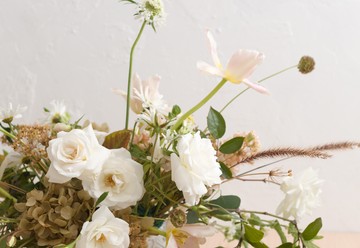 The Coordination Company