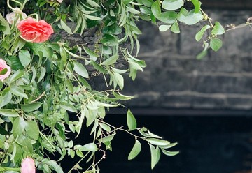 Roche Harbor Weddings