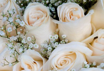 Luxe Events & Design