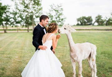 Rustic Colorado Wedding Inspiration