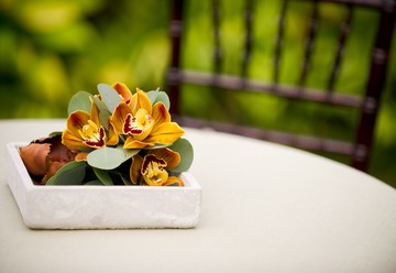 Tropical Modern Chic