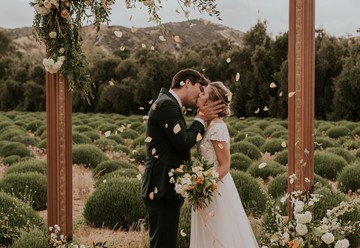 Sweet, Warm, & Wild at Highland Springs Ranch