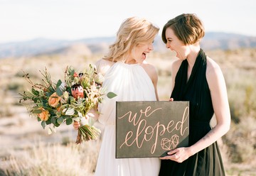 Dreaming in All Things Desert