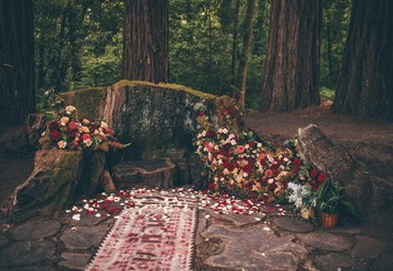 Romantic Boho Elopement in the Redwoods